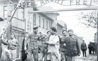 Освобождение Освенцима кратко